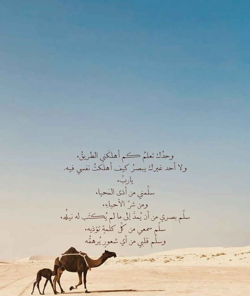 Service_shi's tweet photo. https://t.co/NYLFuKX2Eh