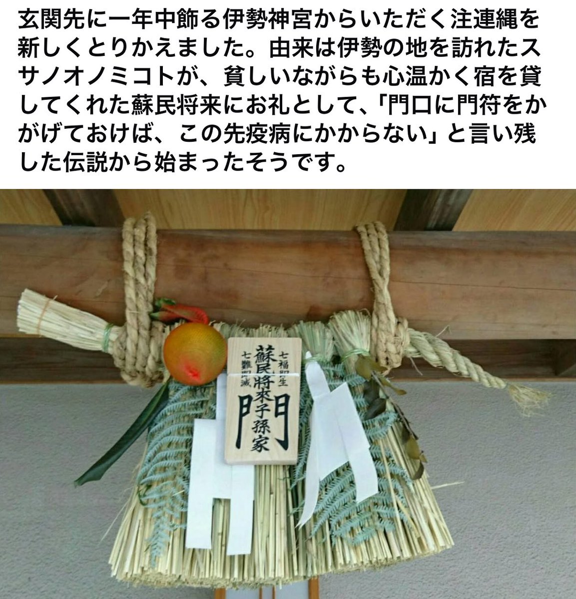 にゃんこ先生伊勢しめ縄 にゃんこ先生伊勢しめ縄 にゃんこ先生伊勢しめ縄 にゃんこ先生伊勢