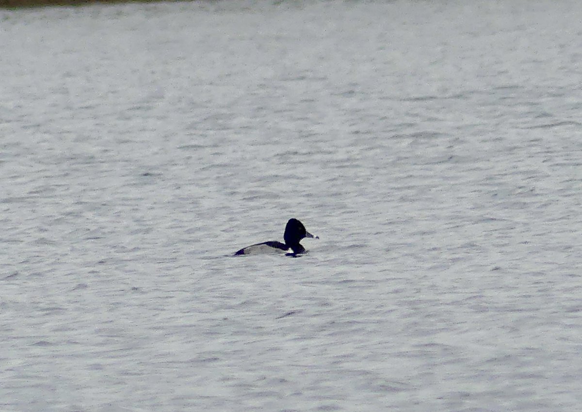 Duncan Dine tweet media