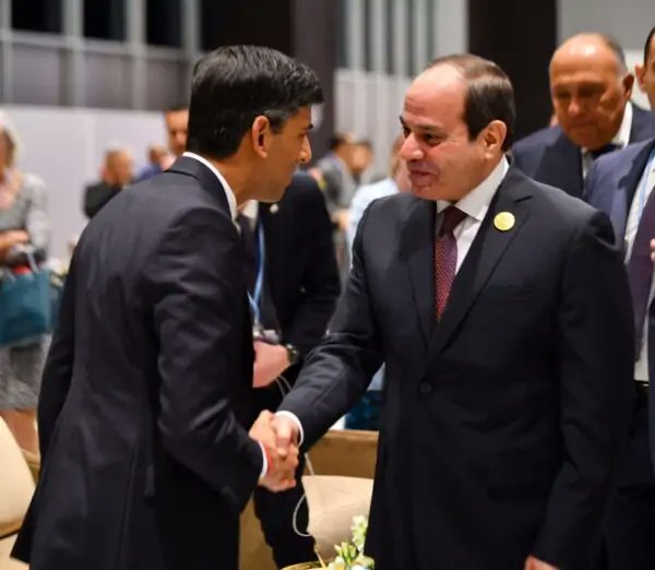 Mohammed Maree محمد مرعي tweet media