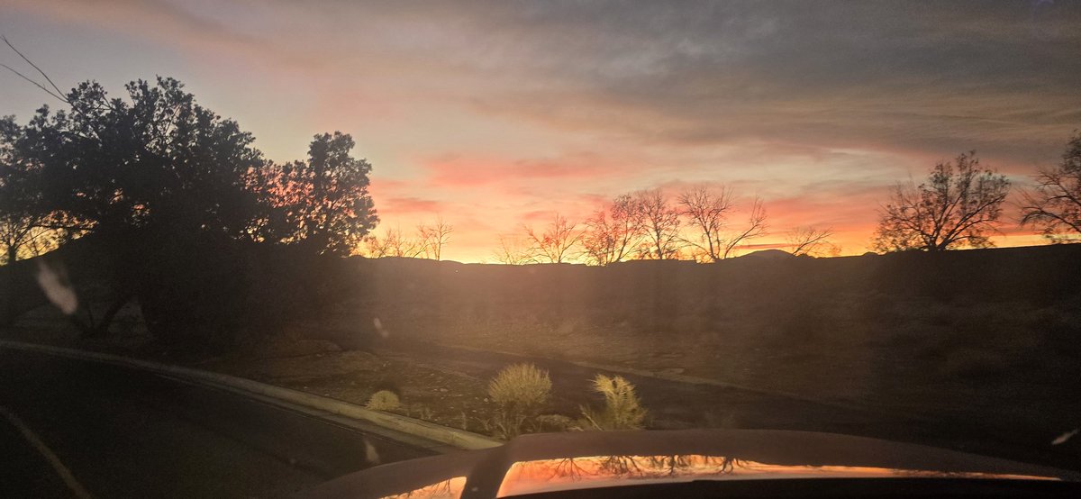 🇺🇸 ProEGLD𝕏 🇺🇸 SuperRareBears 𝕏 tweet media