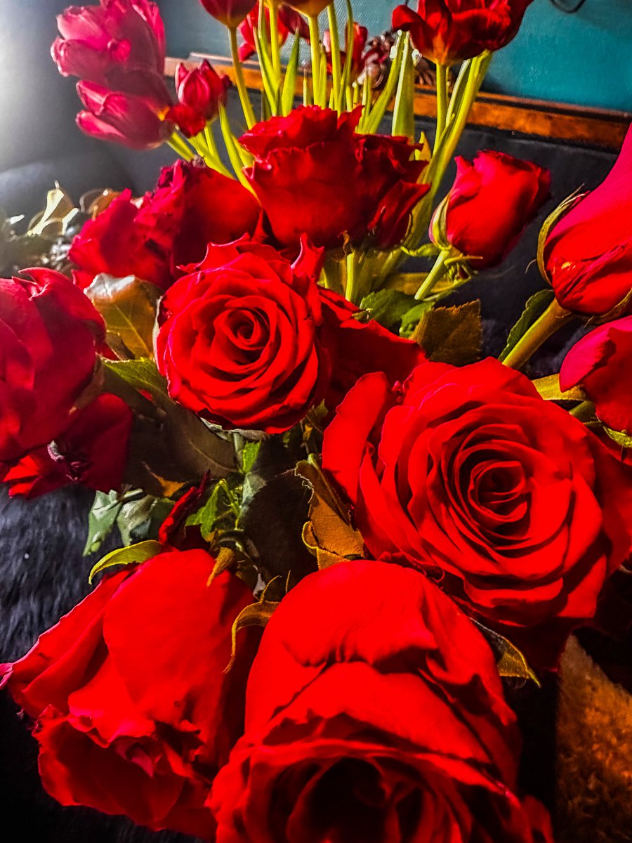 villvilje tweet media