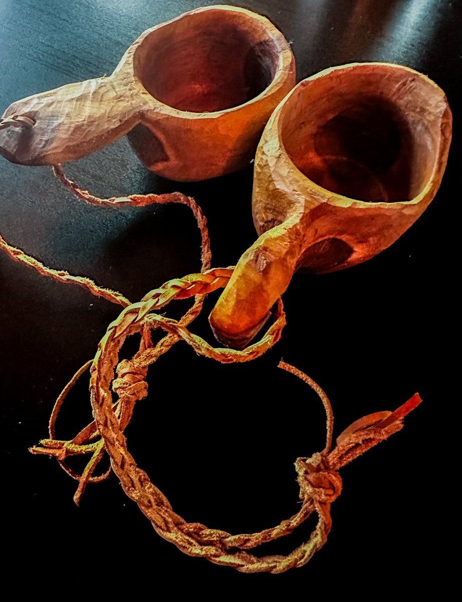 villvilje tweet media