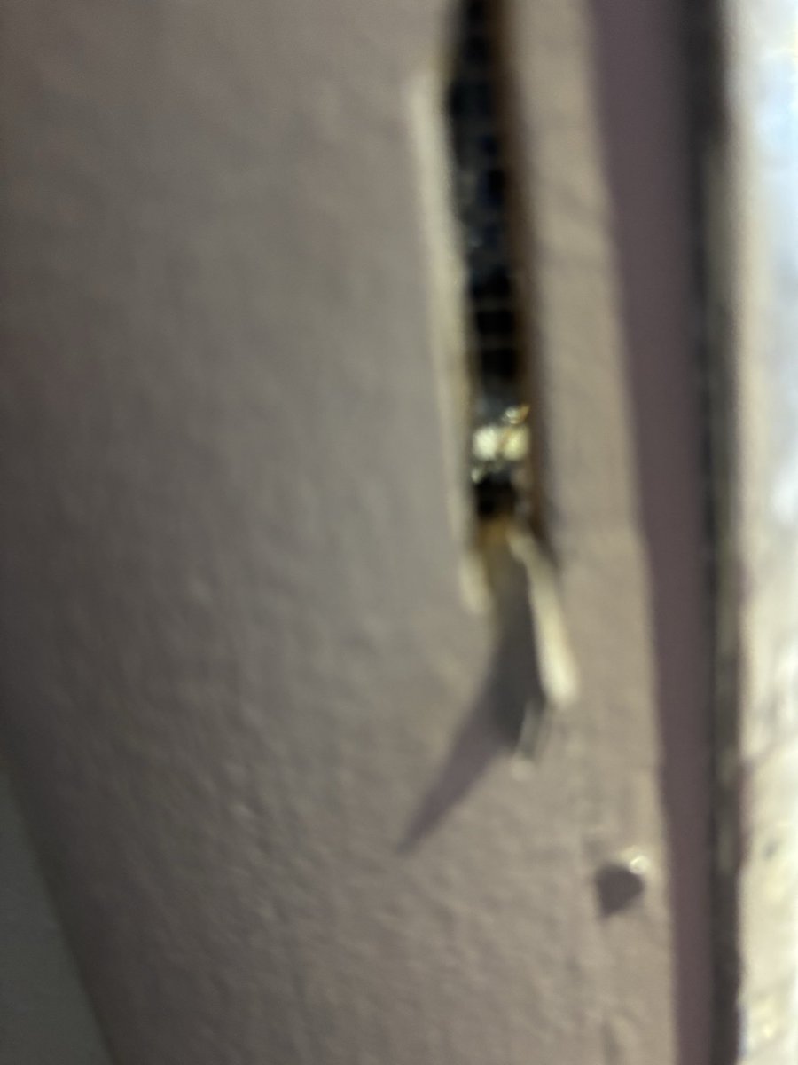 Tracie Samuels tweet media