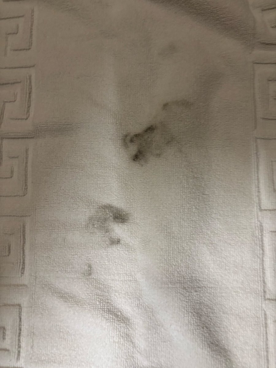 Tracie Samuels tweet media