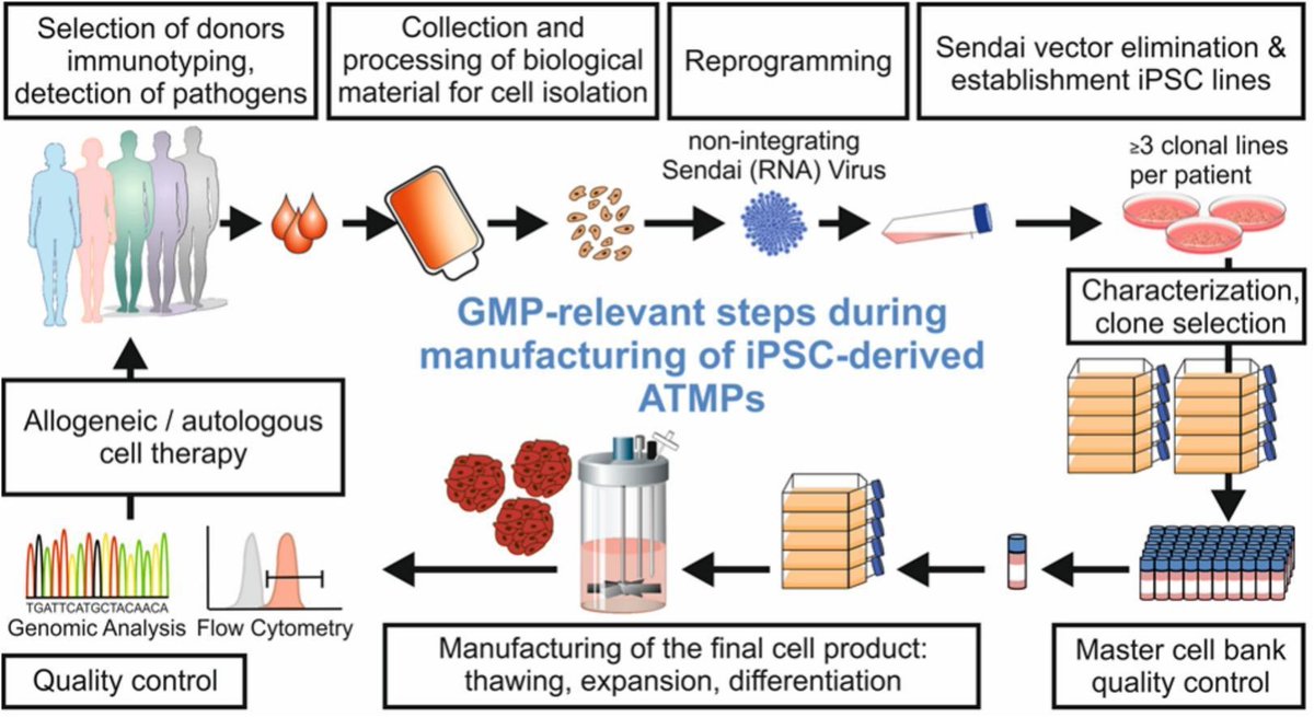 ADDReditors's tweet photo. ADDR Open Access: GMP-compliant manufacturing of iPSC-derived therapeutic cell products: Technologies, applications, risks and limitations.
By Ulrich Martin &amp; coworkers, Hannover Medical School @CRS_DeChAt_LC
#manufacturing #GMP #CellTherapy
https://t.co/hjtDYewu8L https://t.co/6jVrgQQICz