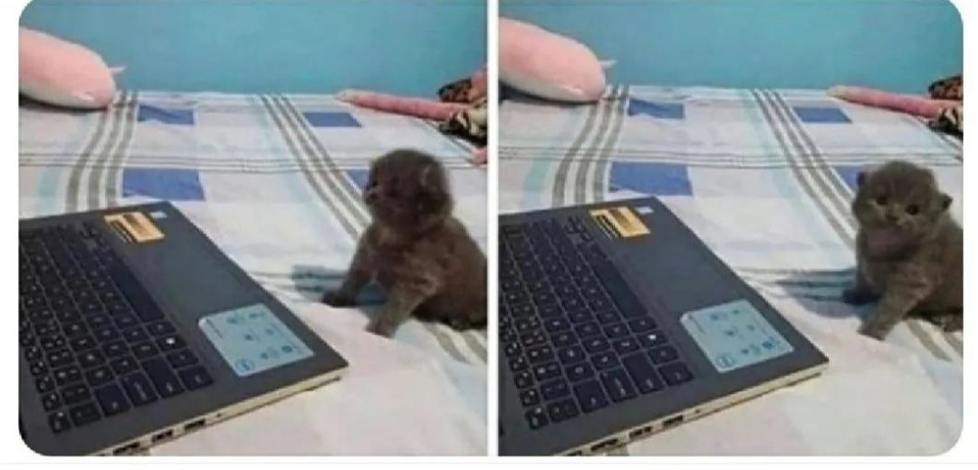 Cuando lees una sentencia en plenas vacaciones.