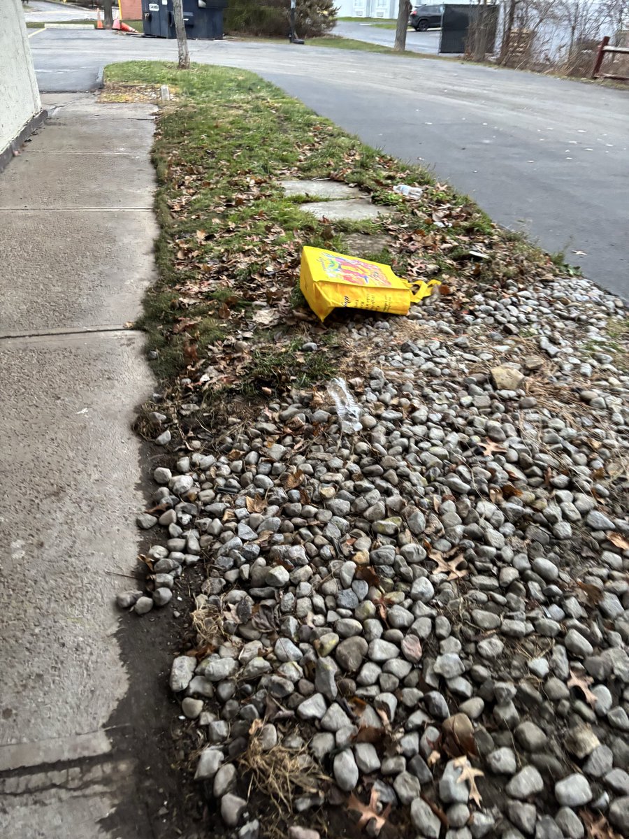 Tracie Samuels tweet media