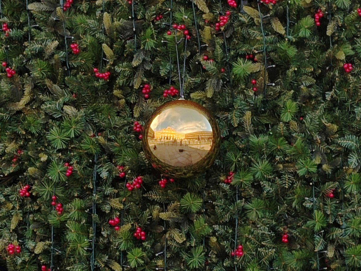 Cynthia Collantes tweet media