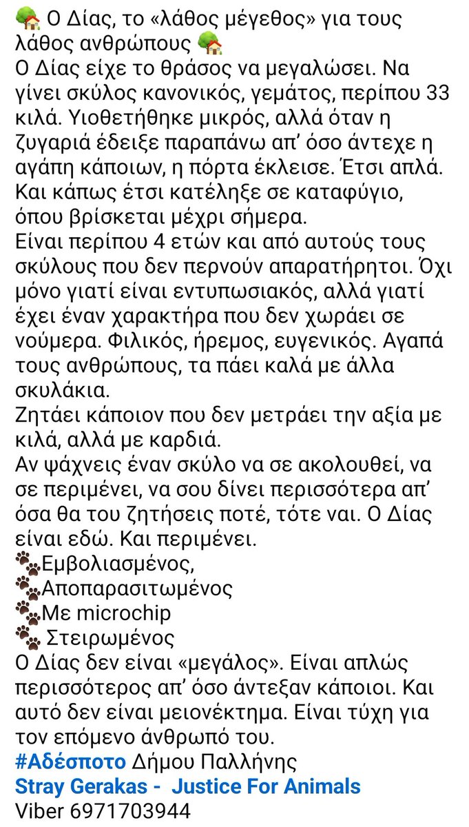 🆘️🆘️🆘️
Ο Διας υιοθετήθηκε μικρός αλλά μόλις μεγάλωσε σε μέγεθος τον γύρισαν στο καταφύγιο όπου ζει μεχρι τώρα στα 4 του
Υπέροχος χαρακτήρας,ήρεμος,ευγενικός,περίπου 33 κιλά,τα πάει καλά με άλλα σκυλάκια
Περιμένει τον άνθρωπο που θα τον αγαπήσει πραγματικά
Rt 🙏 🙏 🙏