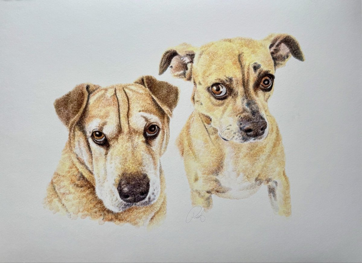 pintollism's tweet photo. My latest commission:
“Madison &amp; Grumpy”
24x18 - Fingerprints
#fingerprints #pointillism #art #dogs https://t.co/YJBUBIB7rk