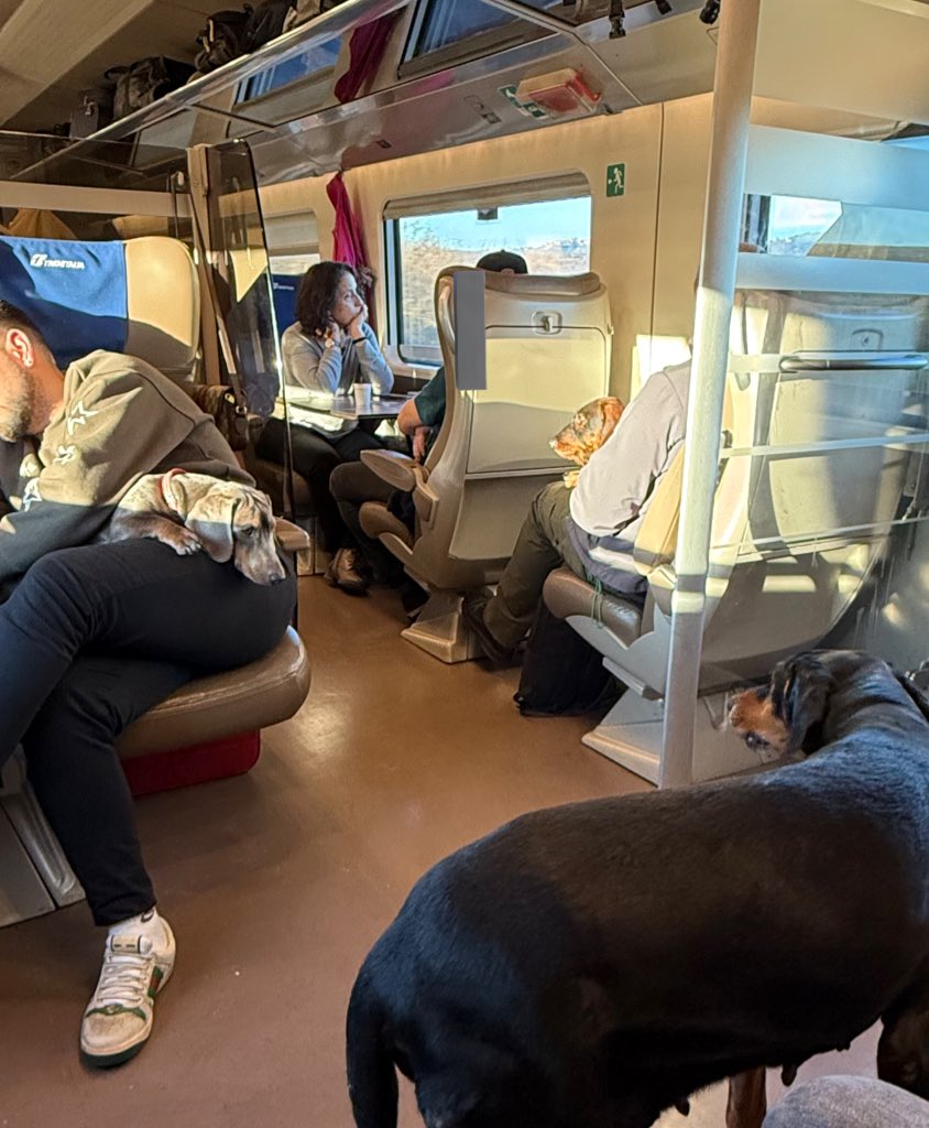 Alessio Viola tweet media