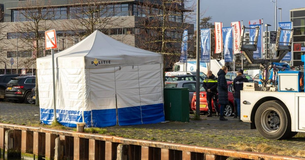 Aangetroffen lichaam in Beverwijk is van vermiste Milan (16)