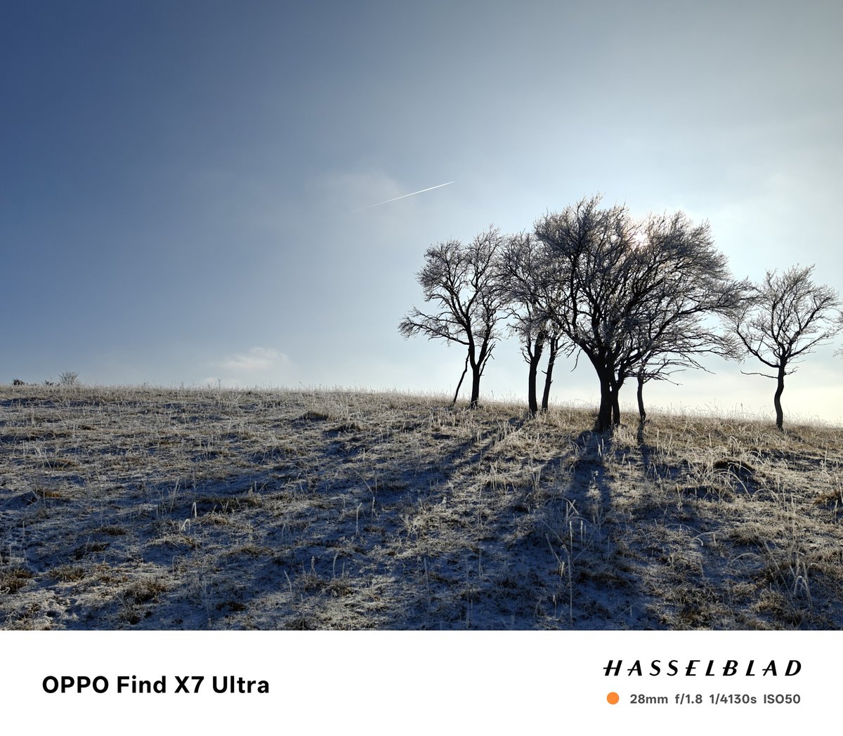 behnke_lars's tweet image. Sun's out! Afternoon walk. #FX8U, #FX7U and #P40Pro. #SOOC.