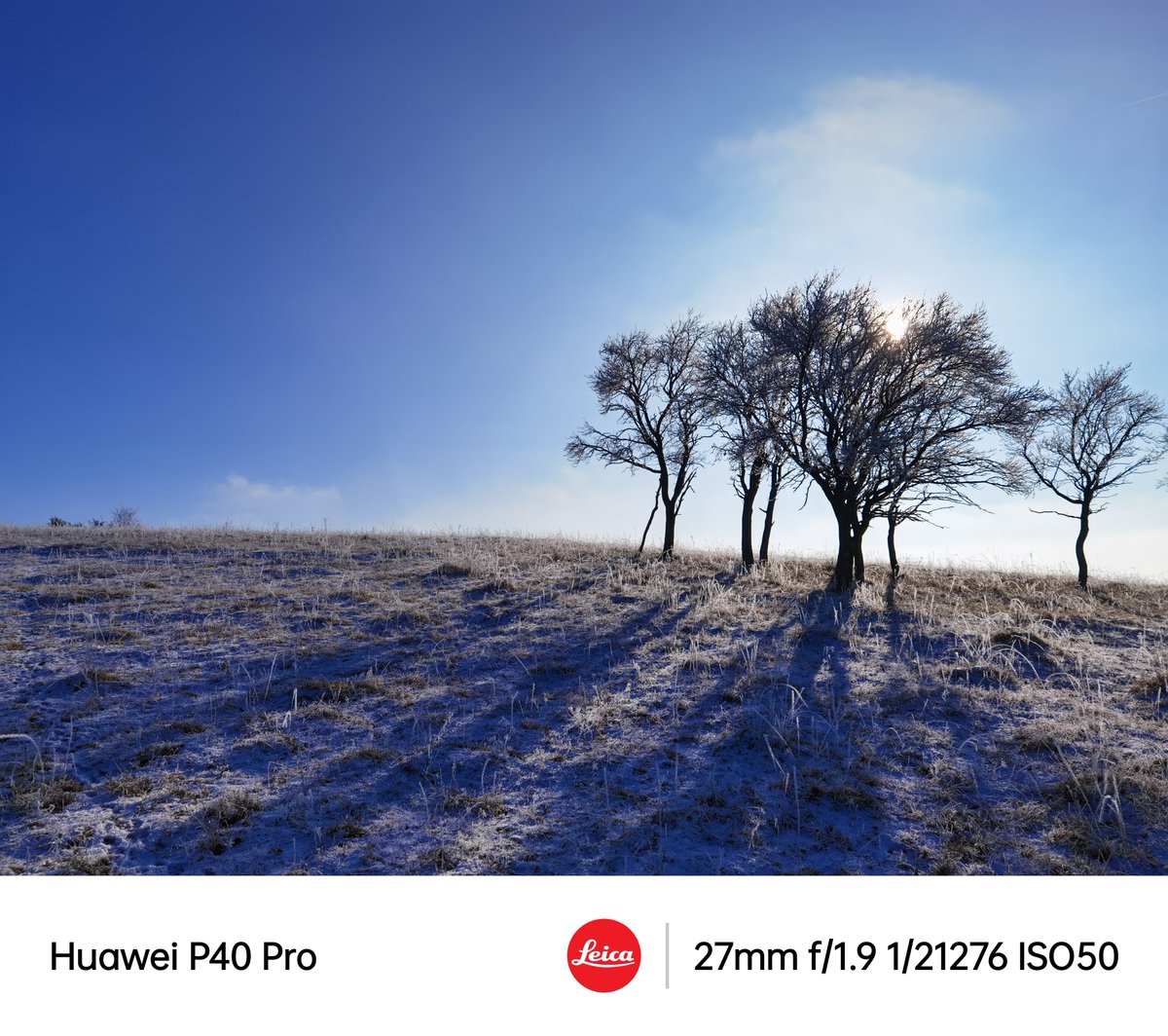 behnke_lars's tweet image. Sun's out! Afternoon walk. #FX8U, #FX7U and #P40Pro. #SOOC.