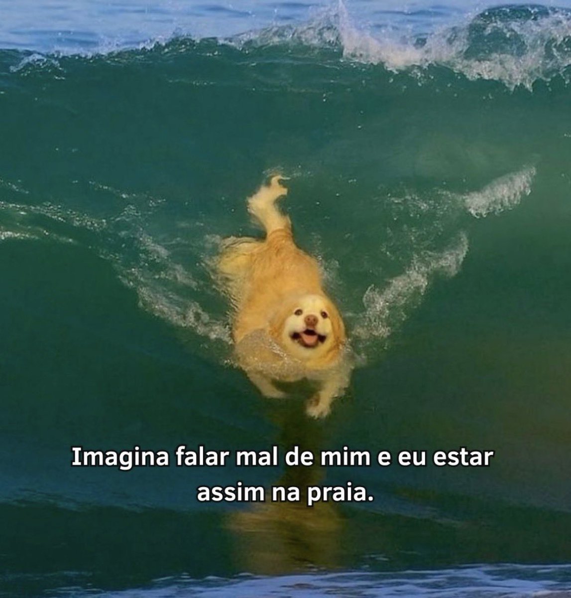 imagina