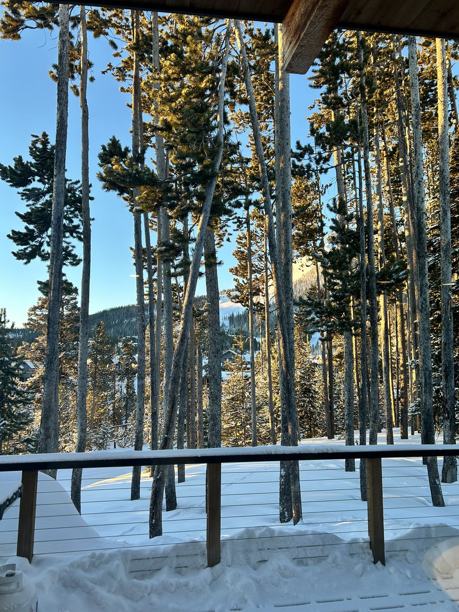 some things are better offline