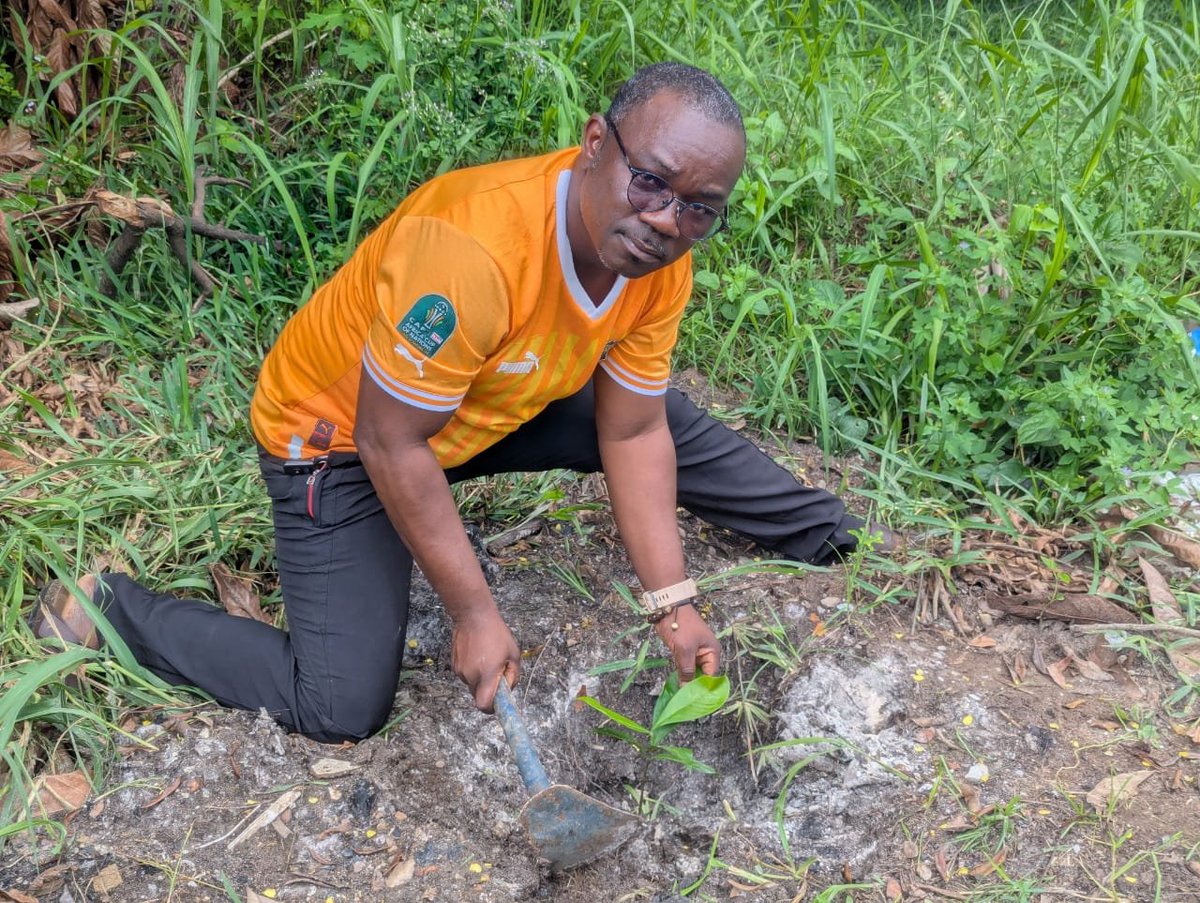 Institut Pasteur de Côte d'ivoire tweet media