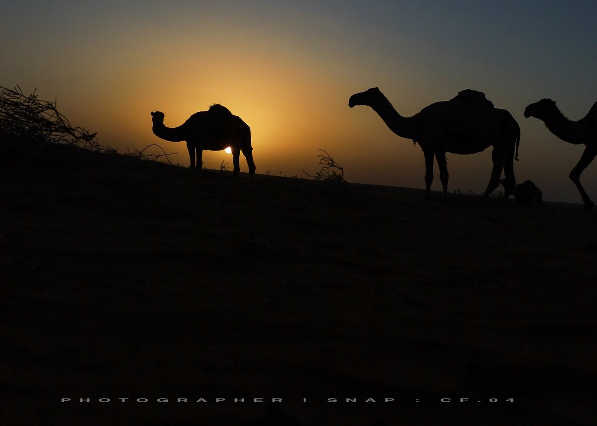 فهد مسلم الجنيدي | مصور 🤳 tweet media