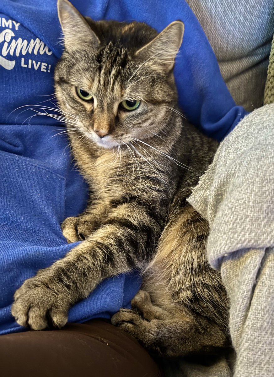 PickliciousF's tweet image. It’s gone chilly so I’m snuggling!