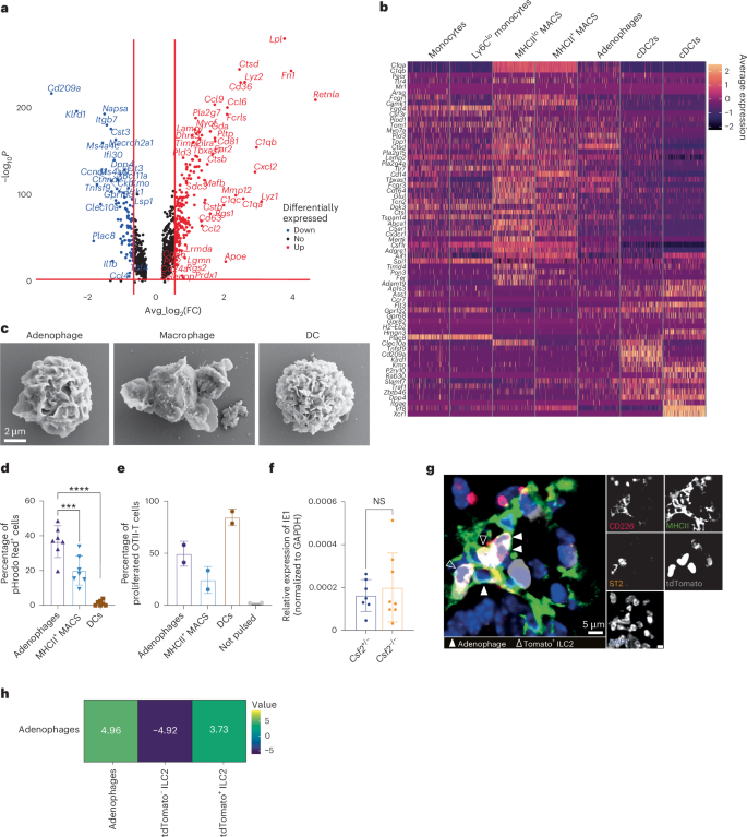 Waggoner Lab tweet media