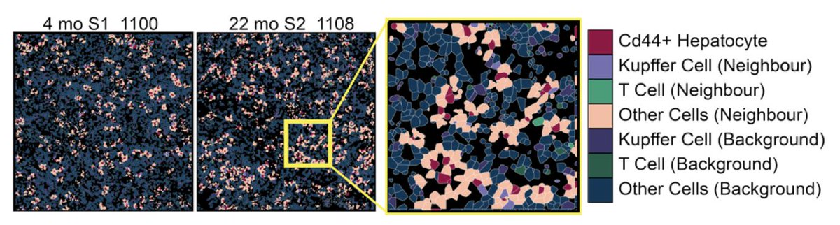Peter Adams🇪🇺🇺🇳 tweet media