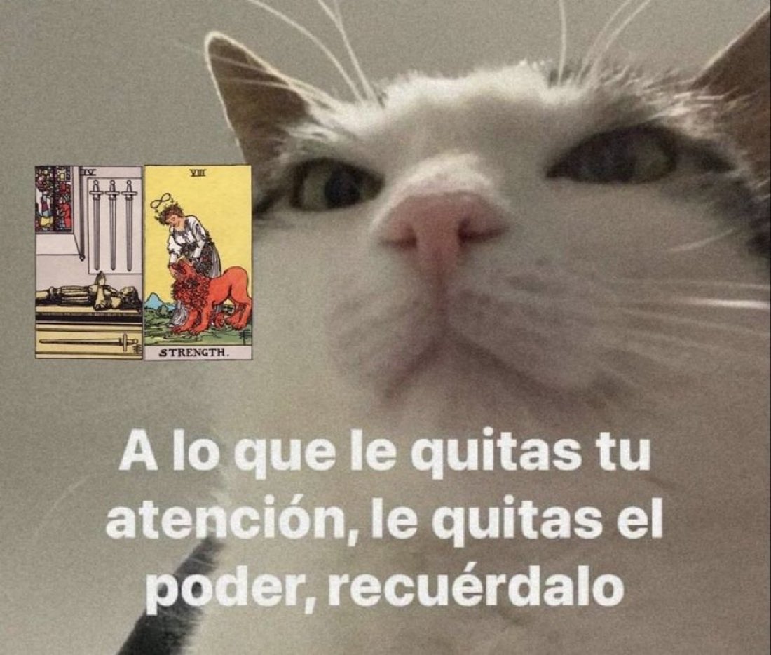 tomiezequiel15's tweet image. 