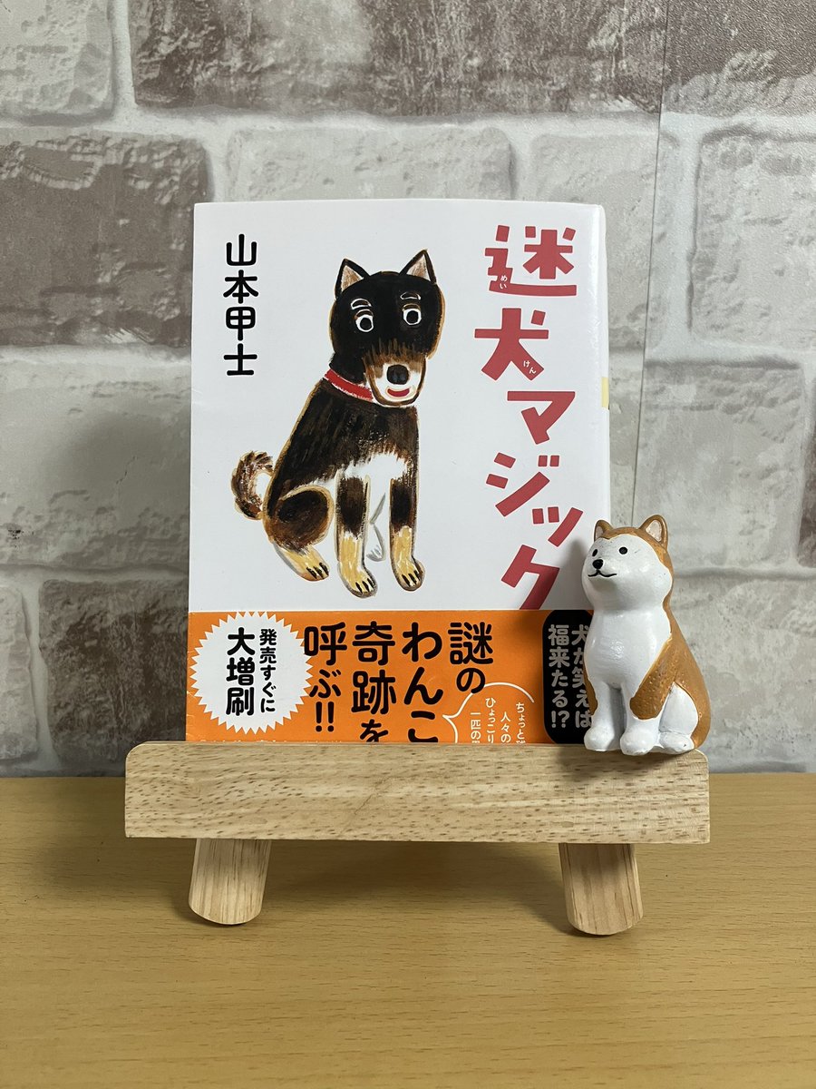 eri450121's tweet photo. #迷犬マジック #山本甲士 #読了
ドッグセラピー。賢い黒柴ワンコの名は
マジック。大活躍！4人の人生を好転させたことになるが、本人が動いた結果。彼らや彼女たちなら、きっと大丈夫だからと、見極め、鼻を効かせたマジックの素晴らしい才能。犬も可愛いね☺️
元気をもらえる1冊。次、続編も読みます。 https://t.co/SBgbutgU7g