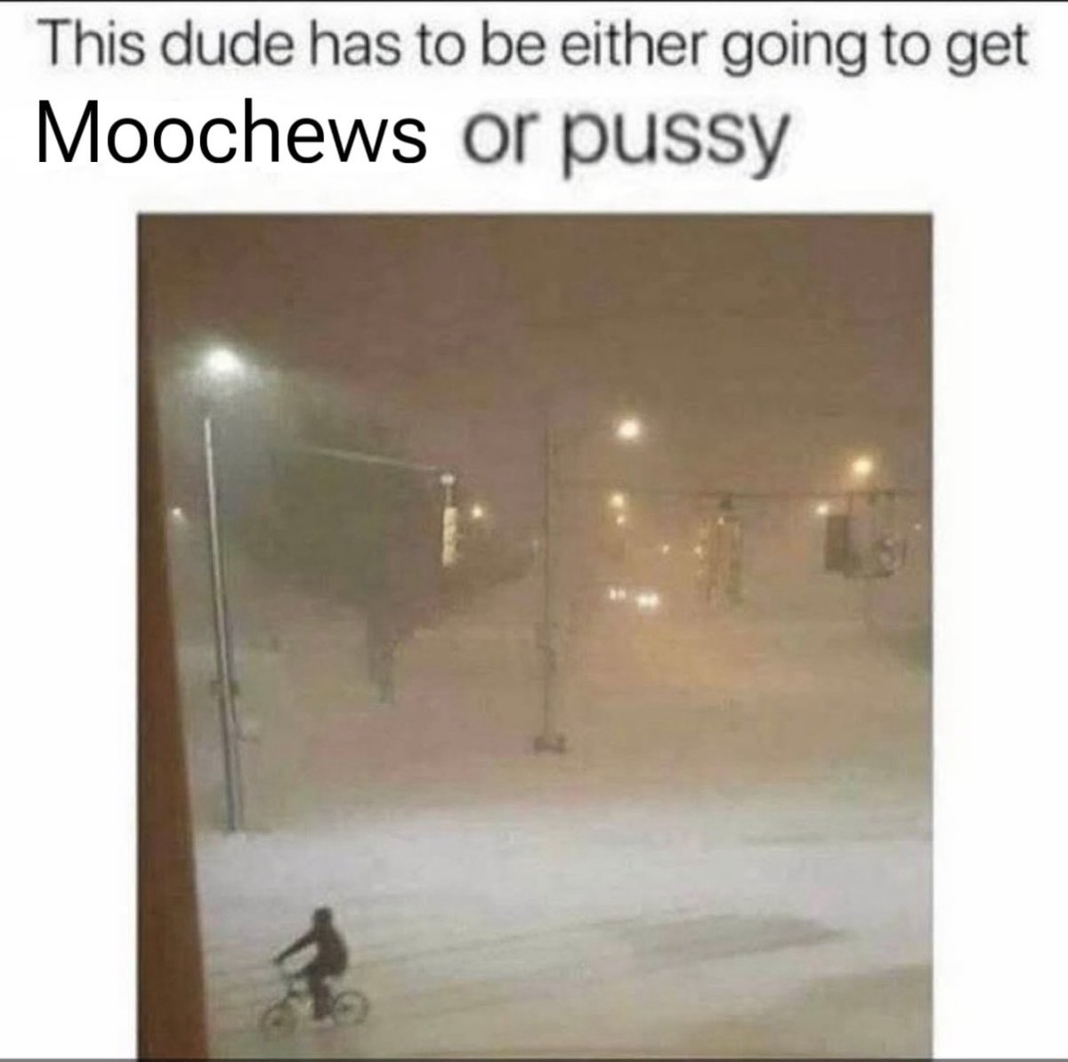 Moo Chews tweet media