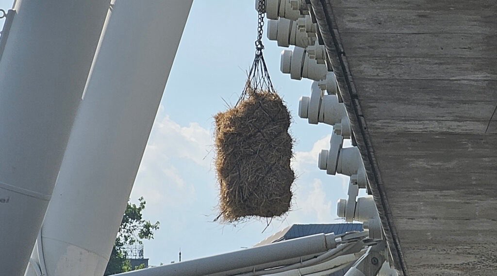 Kent Hendricks tweet media