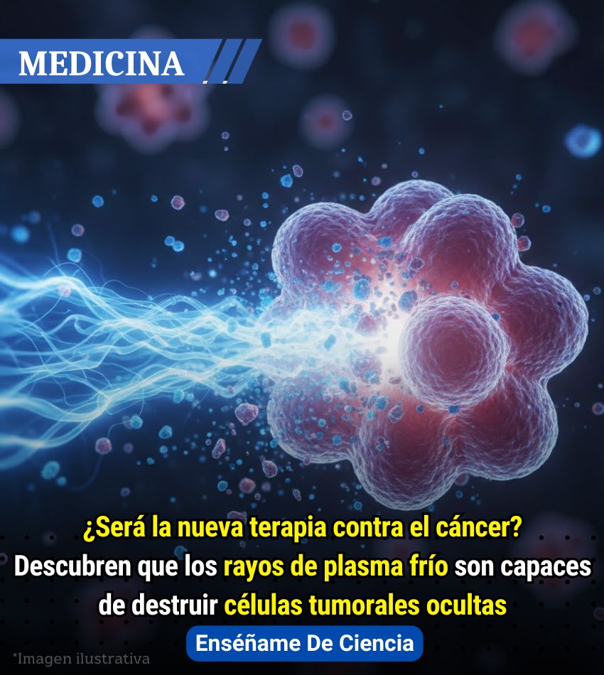 EnsedeCiencia's tweet photo. https://t.co/gNTCVVq6Fr