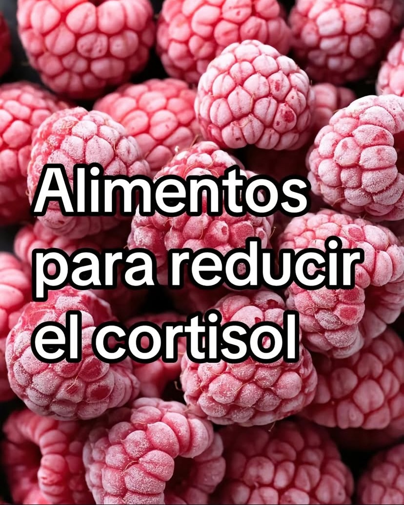 Alimentos para Reducir el Cortisol...

--Hilo--