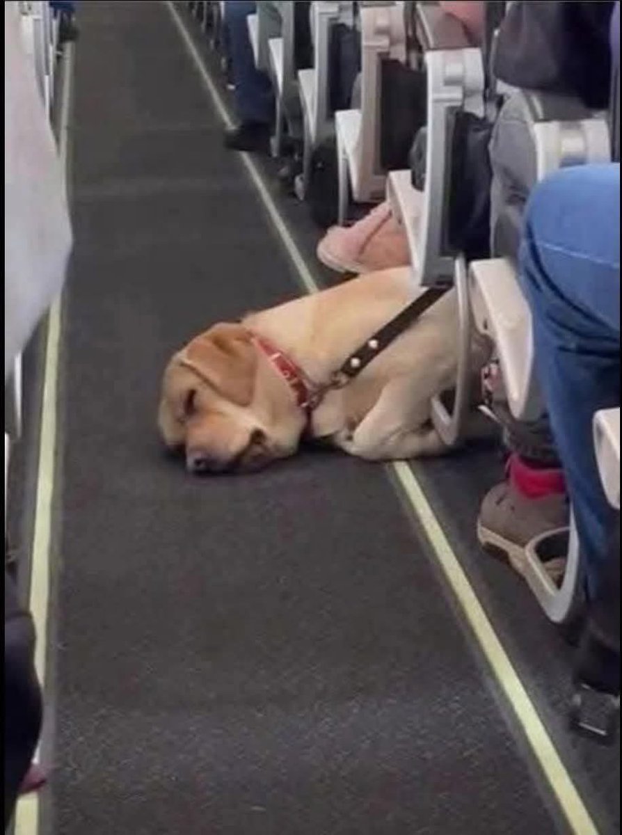 La Bauer💫 tweet media