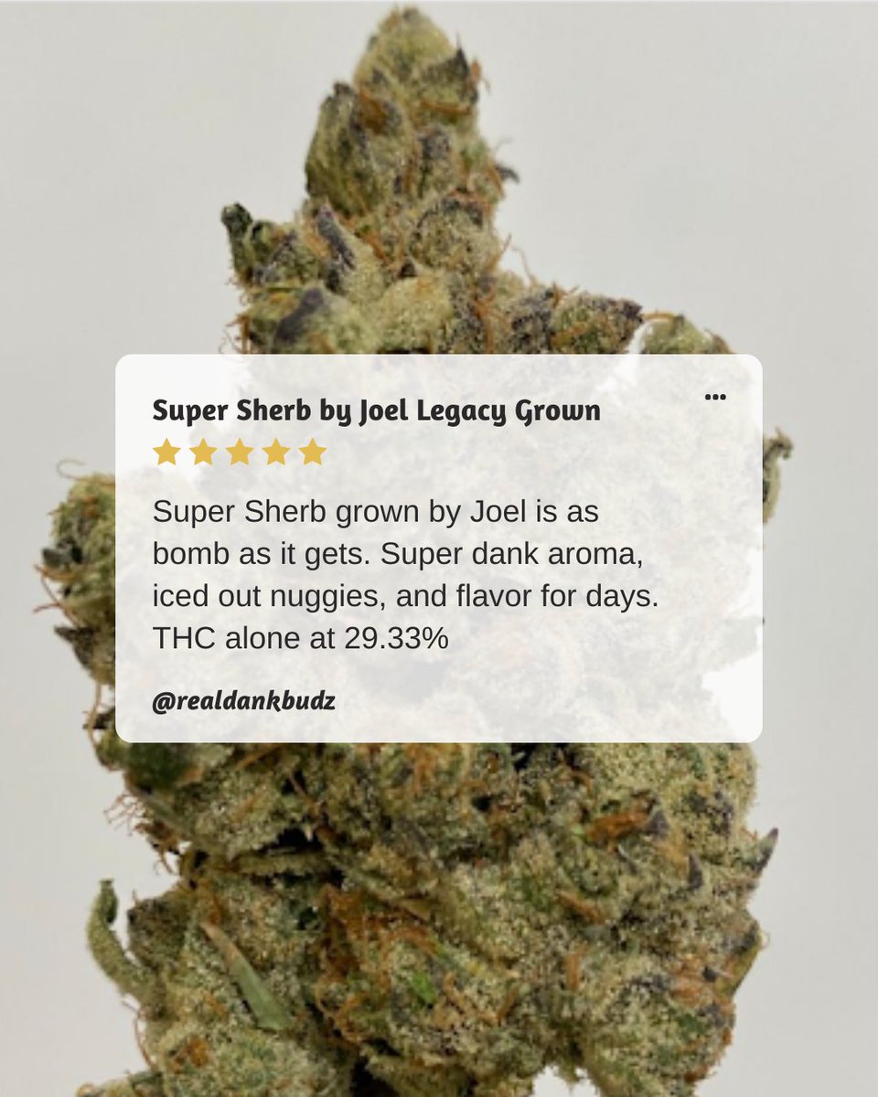 RealDankBudz's tweet photo. Featured strain: Super Sherb by Joel Legacy Grown Cannabis

Iced out nugs and flavor that doesn’t quit. This batch hits all the marks.

#DankBudz #VibeCheck #SessionReady
•
Not for sale. 21+ only. Educational content. https://t.co/pZumK4C5hd