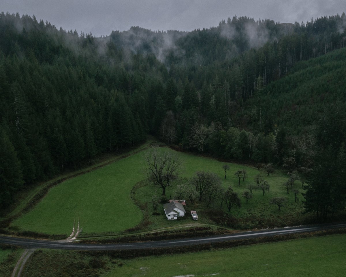 burtoo's tweet image. inside/outside an abandoned house in my hometown
