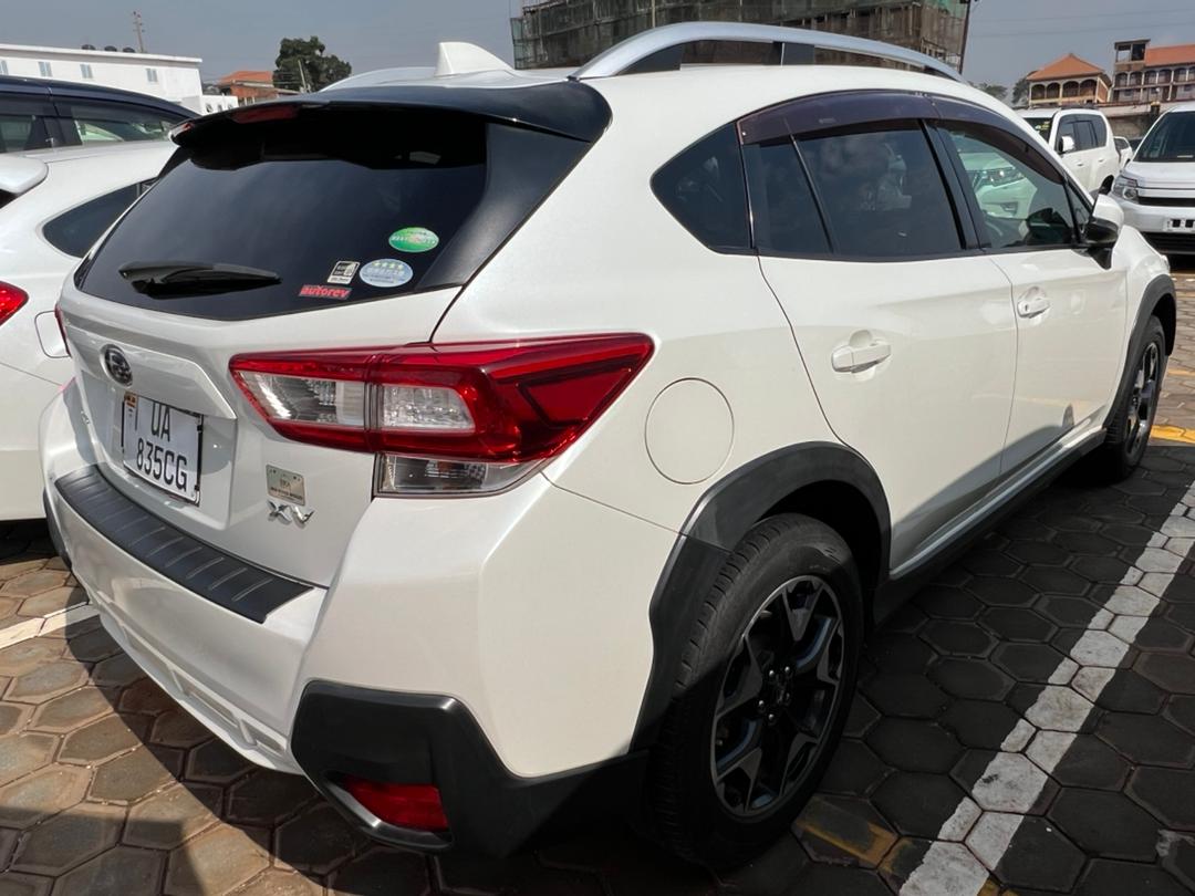 DokitaSharon's tweet image. Hello, kindly like my post/repost, my client could be on your wall. 
Thank you. 💕
 0775721536/ 0701928170 or WhatsApp