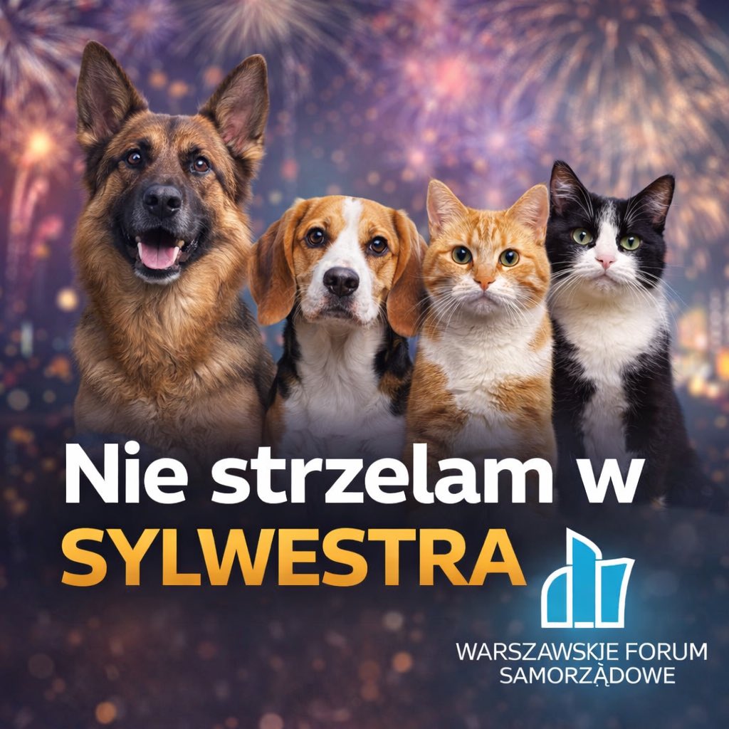 wfs_org's tweet photo. Przypominamy! W Sylwestra nie strzelamy! https://t.co/MLJ3aAmZzn