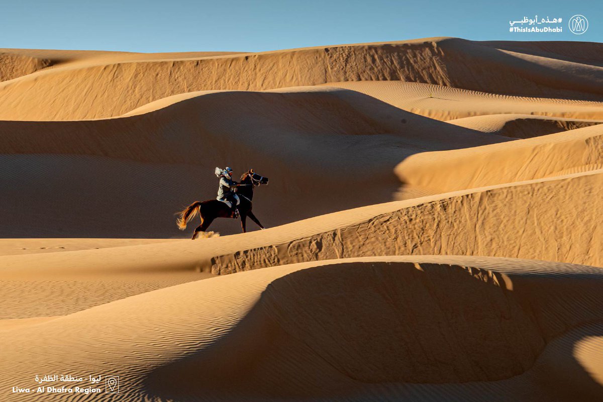 #هذه_أبوظبي بعدسة نوير بنت مهدي.