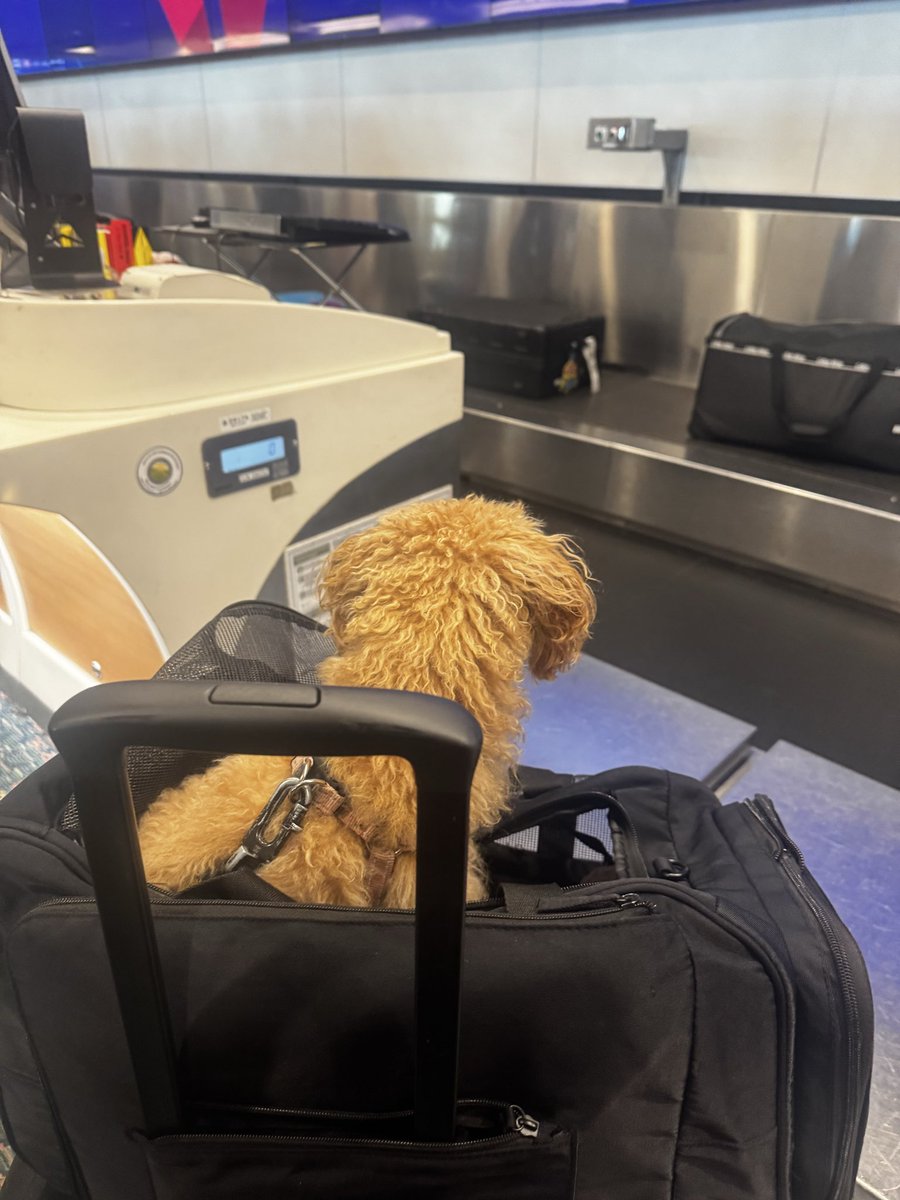 Aria Ruth tweet media