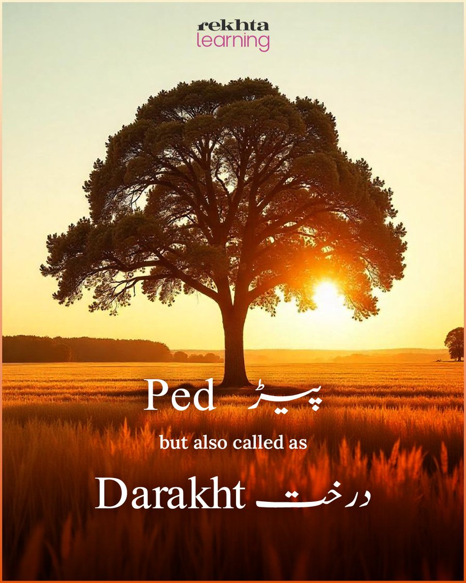 Rekhta's tweet photo. 📖✨ Make Your Urdu Vocabulary More Rich – Add More to the List! 📝

📌 Enroll today at https://t.co/KsbRnJN8nB to learn Urdu vocabulary.

#Vocabulary #Synonyms #Urdu #Words #Alfaaz #RekhtaLearning https://t.co/htUOOqMvK9
