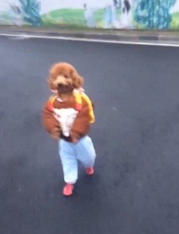 Ξrwinium (pants arc 👖) tweet media