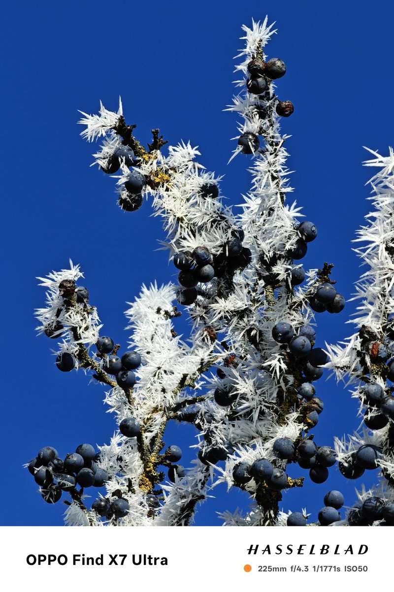 behnke_lars's tweet image. #FX8U, #FX7U and #P40Pro, side by side. Interestingly the blue of the sky comes out quite similar, but it's to "dark", the shade of blue is too strong.