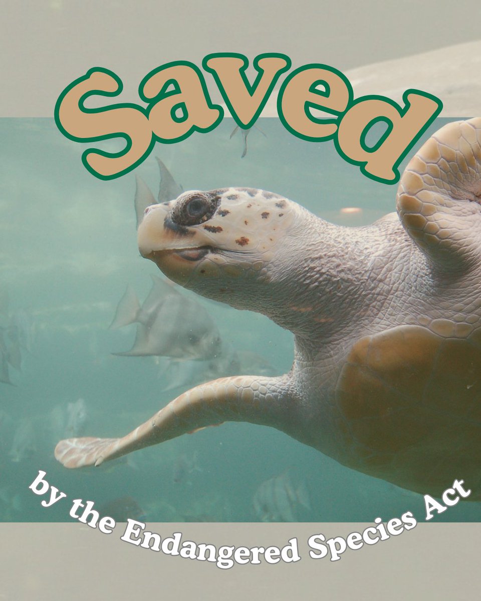 National Parks Conservation Association tweet media