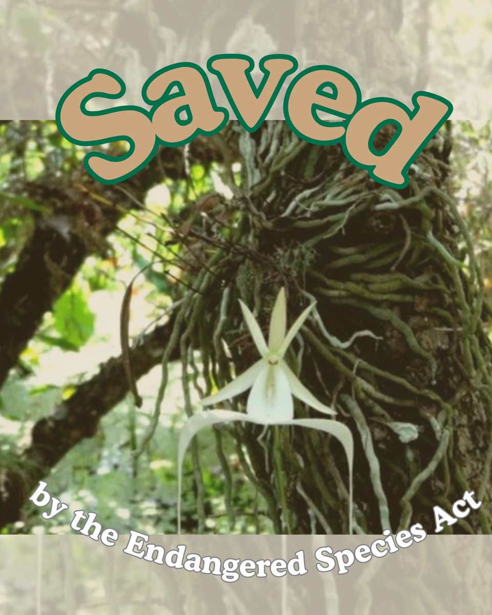 National Parks Conservation Association tweet media