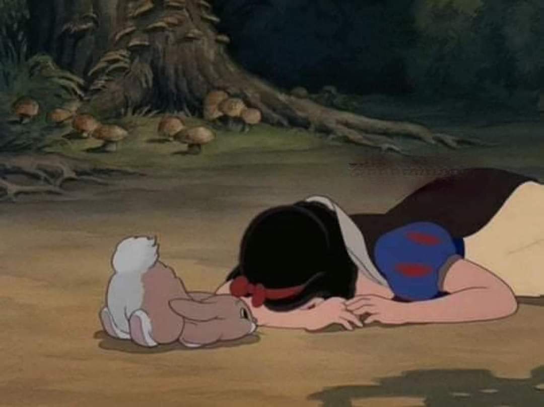 Cuando estoy triste y mi mascota lo siente: