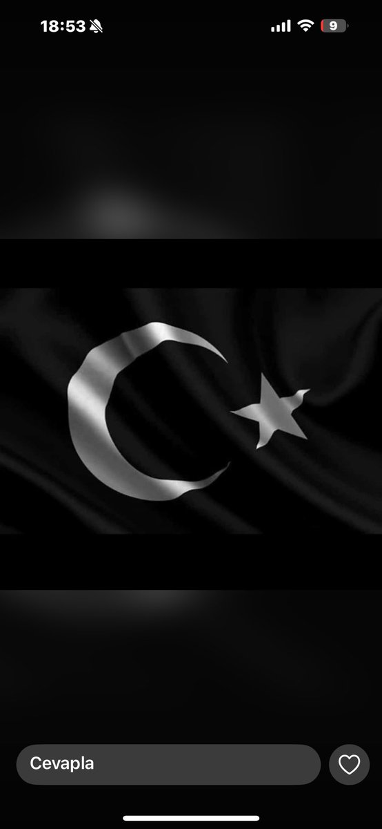 Sinan Şeyhanlıoğlu (@seyhanl_sinan) on Twitter photo 