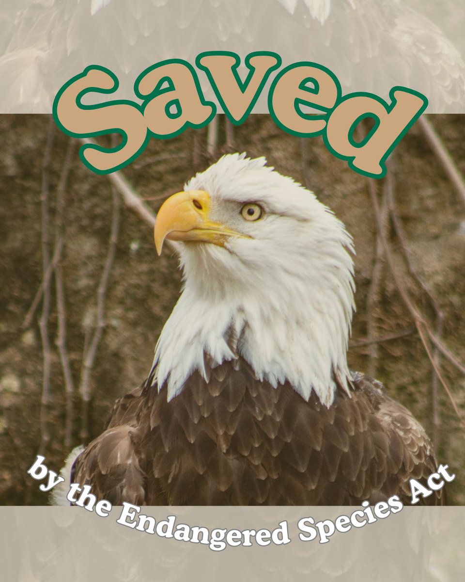 National Parks Conservation Association tweet media