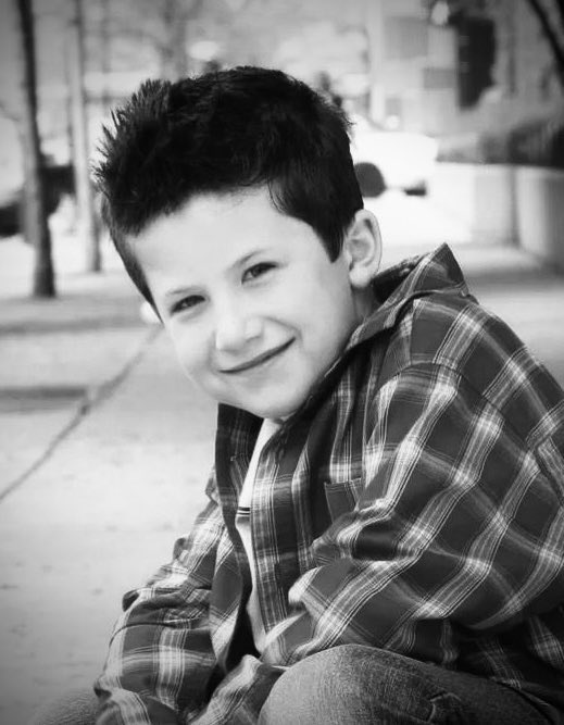 wallows archive tweet media