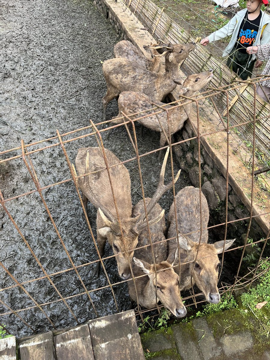 taceetlude's tweet image. nitippp