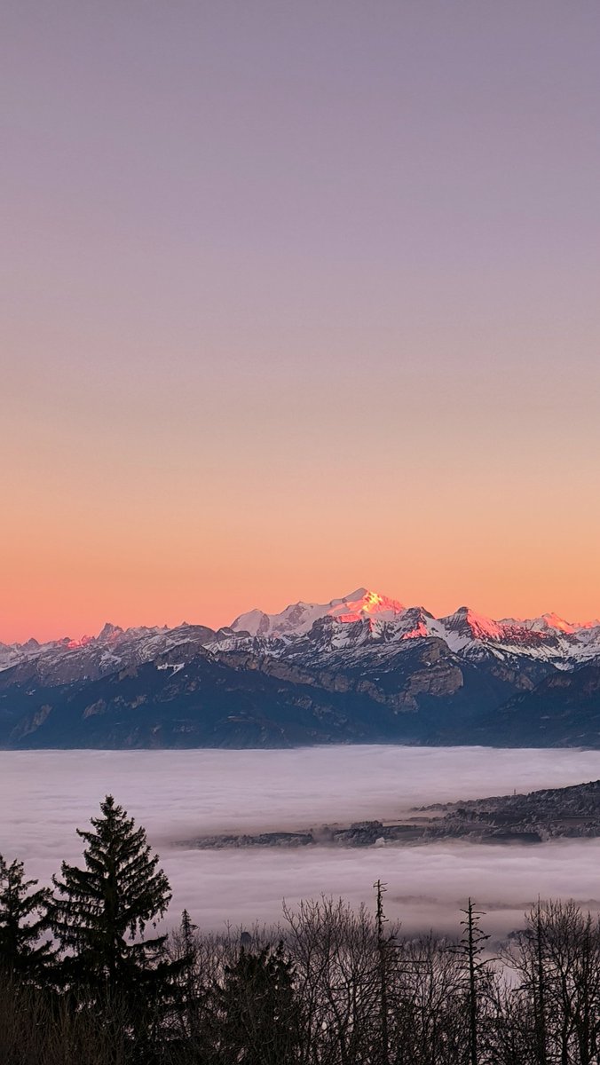 dameanonyme's tweet image. Les dernières lumières sur le Mont Blanc ✨
เอาแสงสุดท้ายกระทบมงบลองค์มาฝากฮะ
ถ่ายจากมือถือโนฟิลเตอร์บนดอยปุยหลังบ้าน 🥹